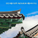 회원이미지
